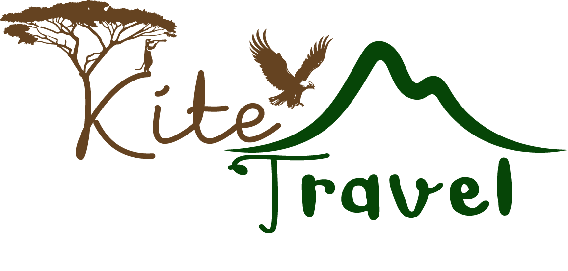 Kite Travel